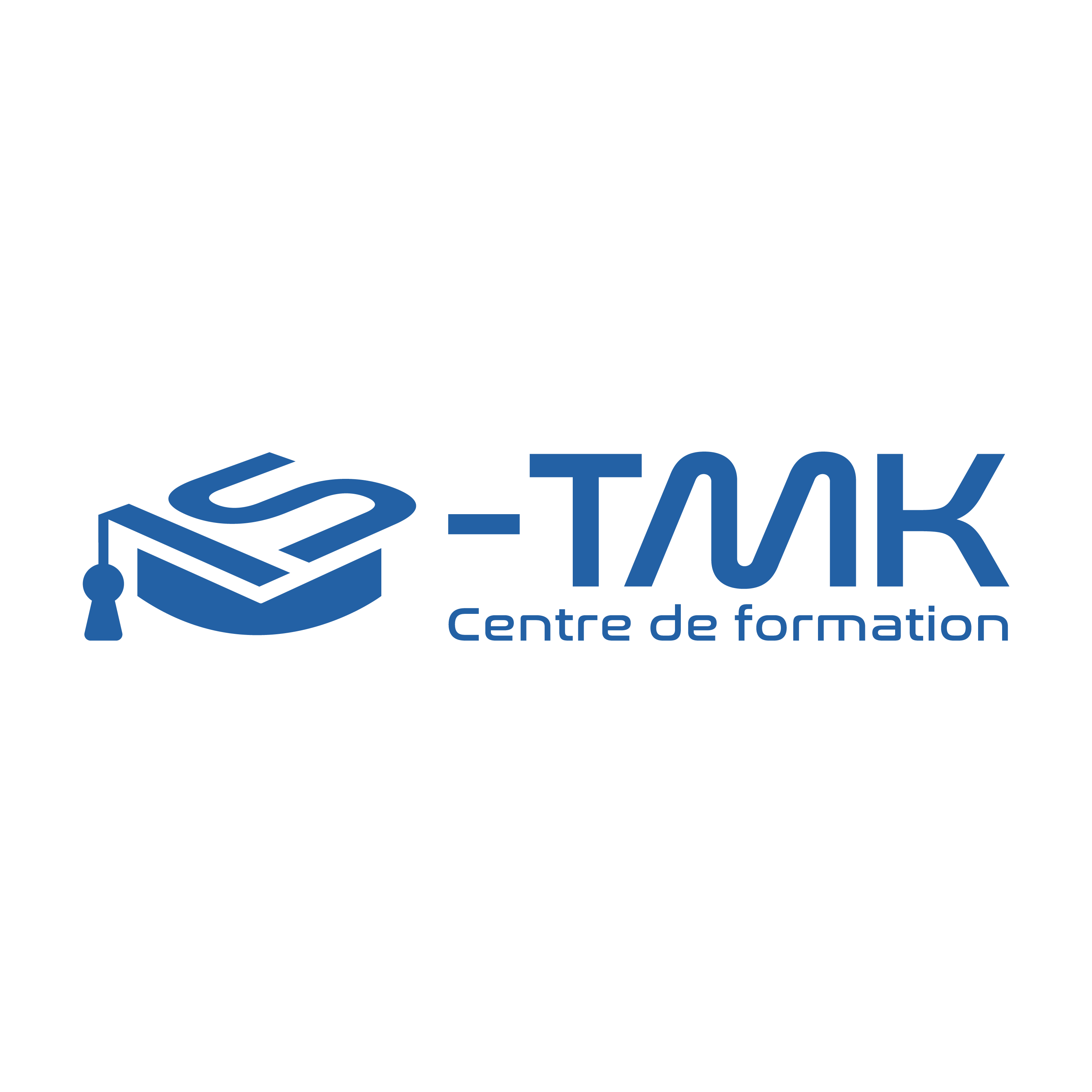 Logo IS-TMK